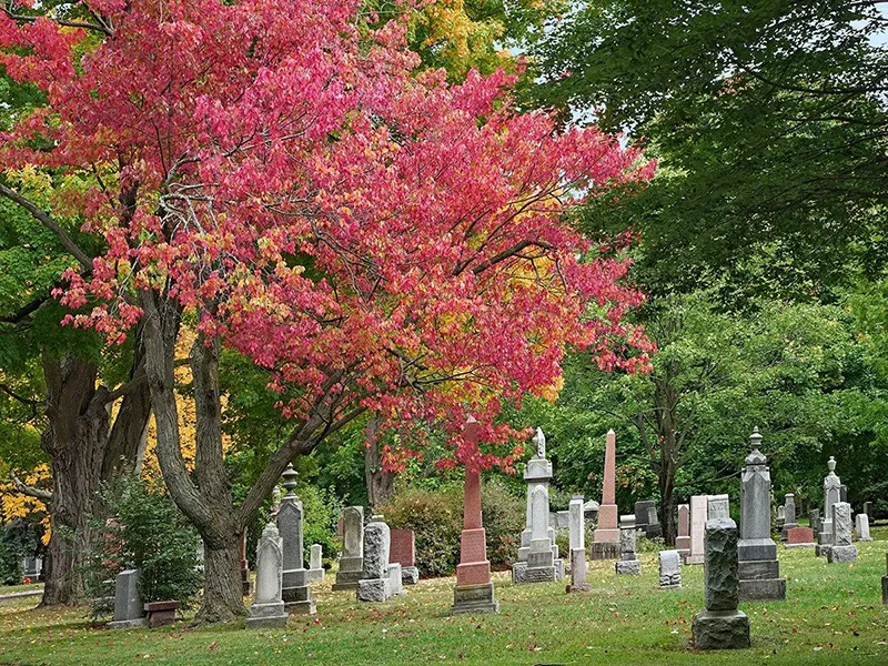 Mount Pleasant Cemetery