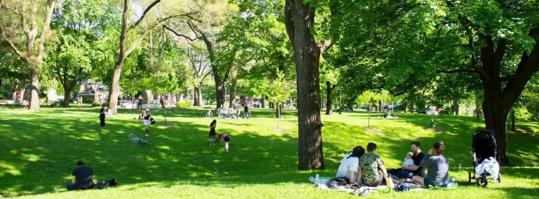 Dufferin Grove Neighbourhood Toronto