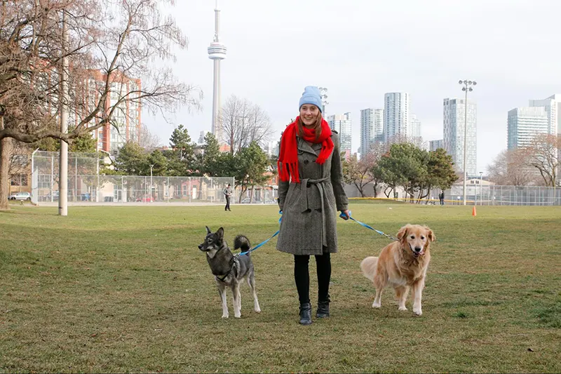 Liberty Village - dog friendly bars toronto