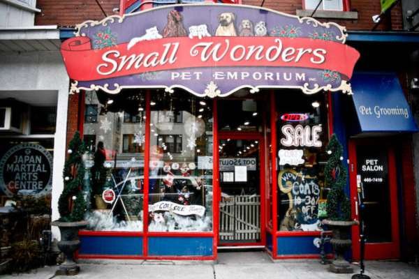 Small Wonders Pets