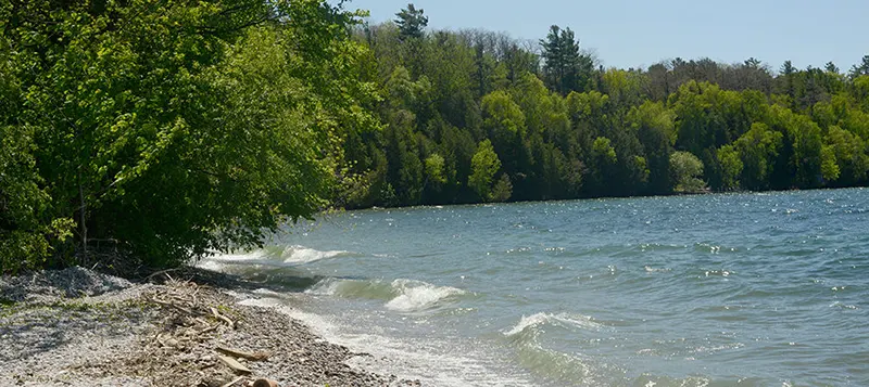 Lake Simcoe