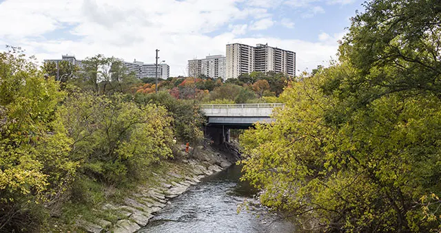 The Don River valley