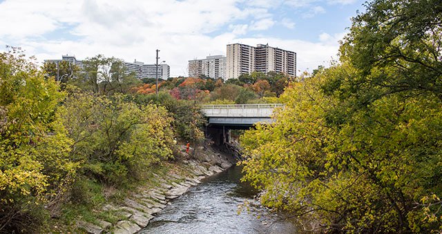 The Don River