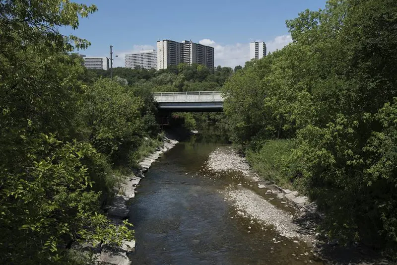 The Don River