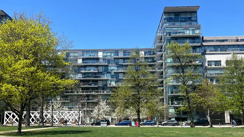 Wellington Real Estate Agent
