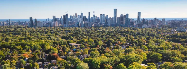 Moore Park Neighbourhood