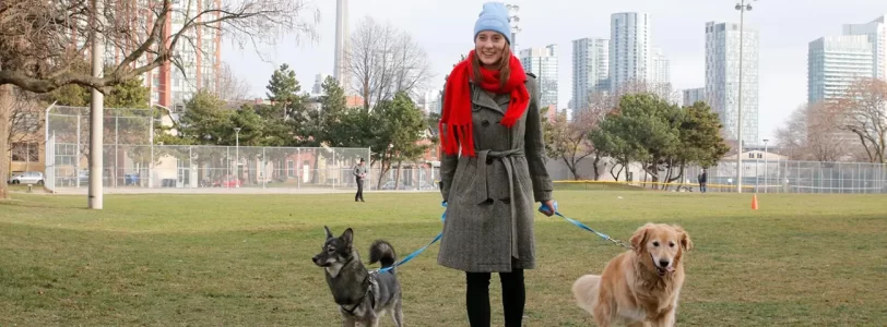 Best Toronto Neighbourhoods for Pet Lovers 